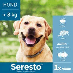 Seresto Hond -Premium Dierenwinkel seresto hond 180928 1000 none