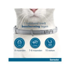 Seresto Kat -Premium Dierenwinkel seresto kat 174145 0500 none