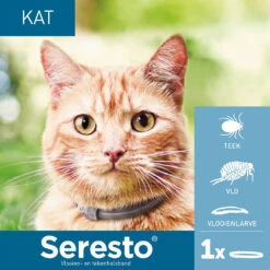 Seresto Kat -Premium Dierenwinkel seresto kat 182296 1000 none