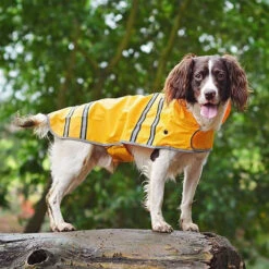 Sötnos Hondenregenjas -Premium Dierenwinkel stnos hondenregenjas 130475 0500 none