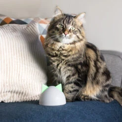 Sureflap Sure Petcare Hub -Premium Dierenwinkel sure petcare hub 219855 2000 none