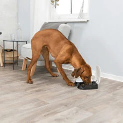 Trixie Dubbele Voederautomaat TX2 7 Trixie Dubbele Voederautomaat TX2 -Premium Dierenwinkel trixie dubbele voederautomaat tx2 170914 1000 none