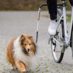 Trixie Fiets-Set 9 Trixie Fiets-Set -Premium Dierenwinkel trixie fiets set 178264 1000 none