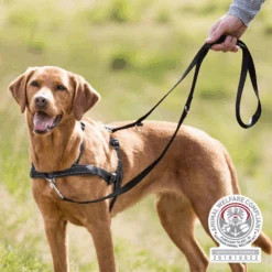 Trixie Lead'n Walk Soft Hondentuig -Premium Dierenwinkel trixie leadn walk soft hondentuig 213905 0500 none