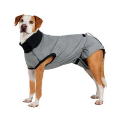 Trixie Operatie Hondenjas -Premium Dierenwinkel trixie operatie hondenjas 95186 0500 none