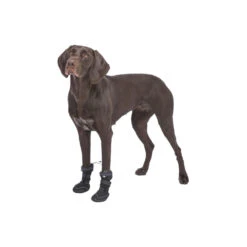 Trixie Pootbescherming Walker Active Long -Premium Dierenwinkel trixie pootbescherming walker active long 207476 1000 none