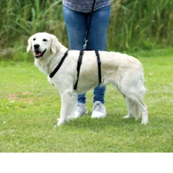 Trixie Stay Hondentuig 13 Trixie Stay Hondentuig -Premium Dierenwinkel trixie stay hondentuig 95231 0500 none