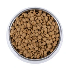 Vetality Skin Support - Hondenvoer -Premium Dierenwinkel vetality skin support hondenvoer 195221 1000 none