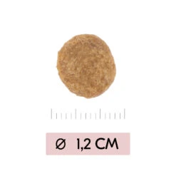 Vetality Skin Support - Hondenvoer -Premium Dierenwinkel vetality skin support hondenvoer 195452 1000 none