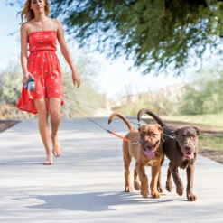 Wigzi Dual Doggie 2.0 -Premium Dierenwinkel wigzi dual doggie 20 167836 1500 none