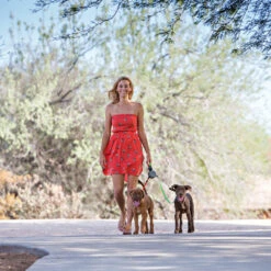 Wigzi Dual Doggie 2.0 -Premium Dierenwinkel wigzi dual doggie 20 167839 1500 none