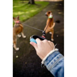 Wigzi Dual Doggie Gel Leash -Premium Dierenwinkel wigzi dual doggie gel leash 221501 0500 none