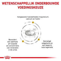 Royal Canin Urinary S/O Moderate Calorie Kat 24 Royal Canin Urinary S/O Moderate Calorie Kat -Premium Dierenwinkel wkq5tOf7itu7AKk3vEJZwKkT3xC5PT metacm95YWxfY2FuaW5fdXJpbmFyeV9zb19tb2RlcmF0ZV9jYWxvcmllX2thdF8xNTM3OTZfMTAwMF9ub25lLmpwZw
