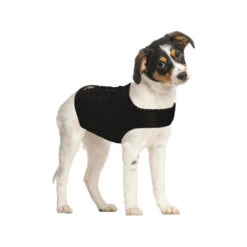 ZenDog Compression Shirt -Premium Dierenwinkel zendog compression shirt 173056 0500 none